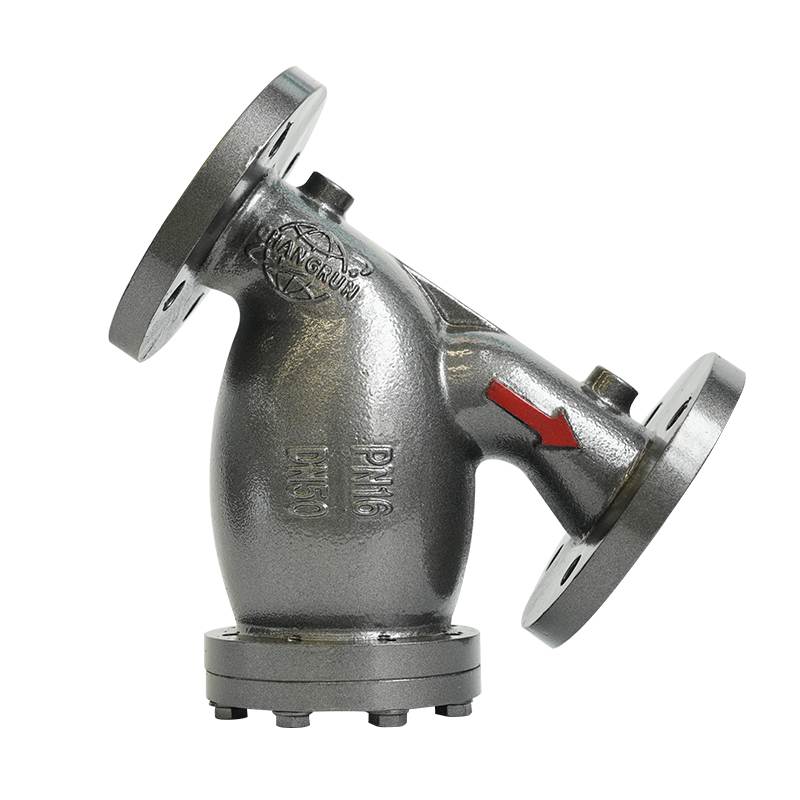 PN16 DN50/DN80 Flanged Ductile Iron Y-type retrainer