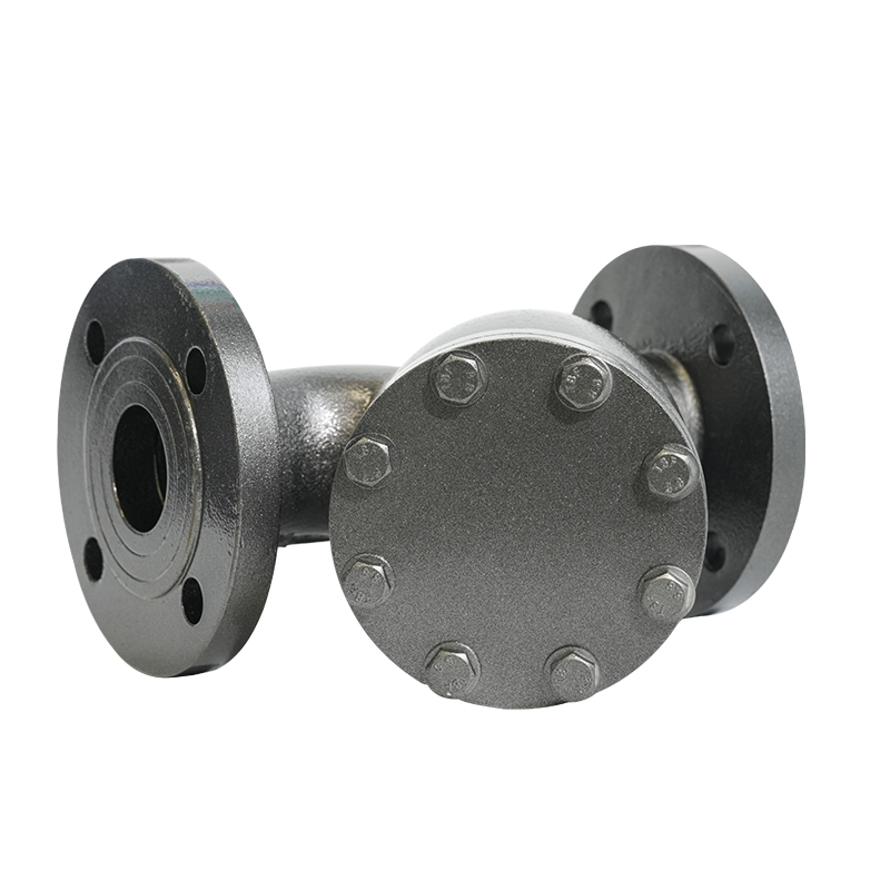 PN16 DN50/DN80 Flanged Ductile Iron Y-type retrainer