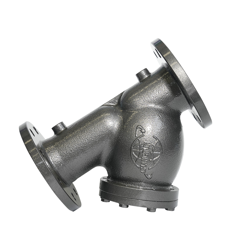 PN16 DN50/DN80 Flanged Ductile Iron Y-type retrainer