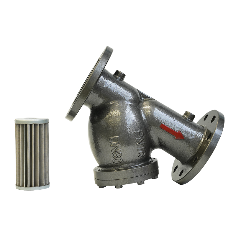 PN16 DN50/DN80 Flanged Ductile Iron Y-type retrainer
